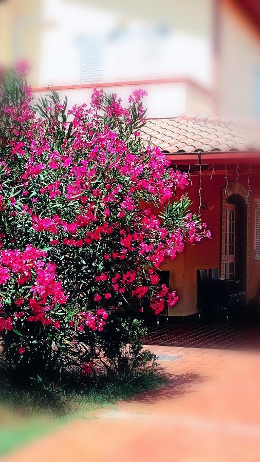 Gasthaus Country-House Pecora Nera Mosciano SantʼAngelo Exterior foto